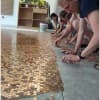 Rare Pennies To Look For: Valuable Pennies Worth Collecting Thumbnail