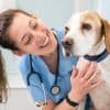 How To Pay For Vet School Thumbnail