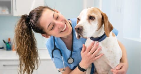 Thumbnail for Blog Article: How To Pay For Vet School