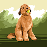 My C. avatar image