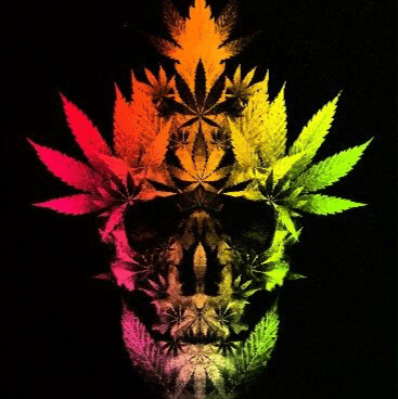 Jason M. avatar image