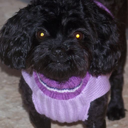 Loretta G. avatar image