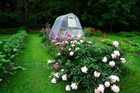 Thumbnail for Blog Article: Customer Financing for Landscaping & Hardscaping Contractors: Close More Projects and Increase Average Ticket