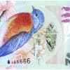 Bermudian Dollar: History, Significance, and Practical Insights Thumbnail