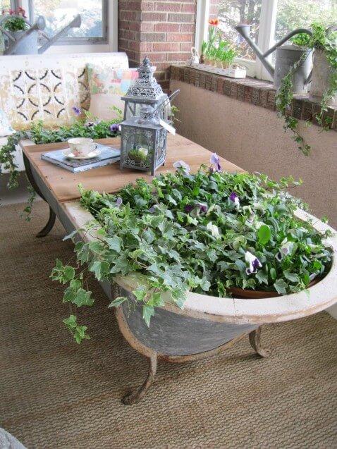 bathtub garden idea diy