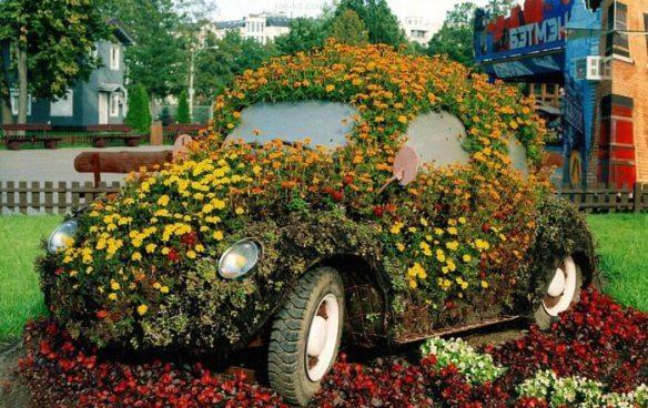 car garden diy