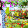 Investing In Landscaping: What You Need to Consider Thumbnail
