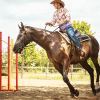 What Does It Cost to Build an Outdoor Riding Arena? Thumbnail