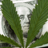 How to Get Funding for a Marijuana-Cannabis Business: 4 Options Thumbnail
