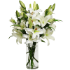 Funeral flowers lilies