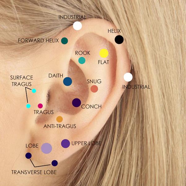 Picture of an ear showing where you could get different piercings and what they are called