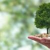 Merkle Roots: Definition, Calculation, and Real-World Applications Thumbnail