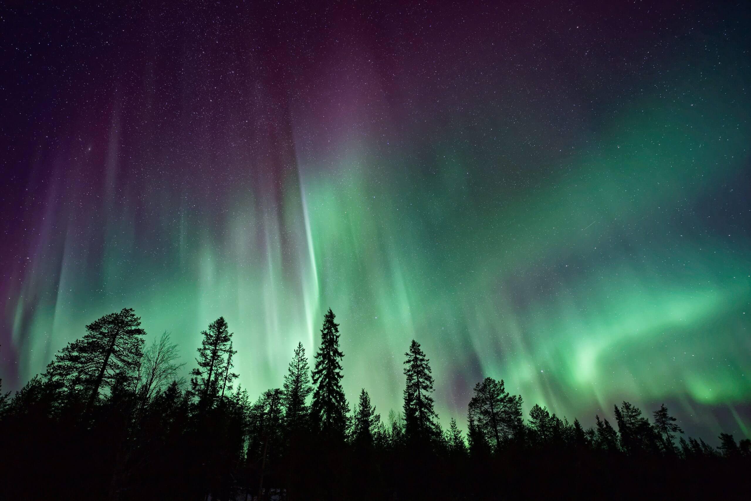 Northern lights in the Alaskan sky