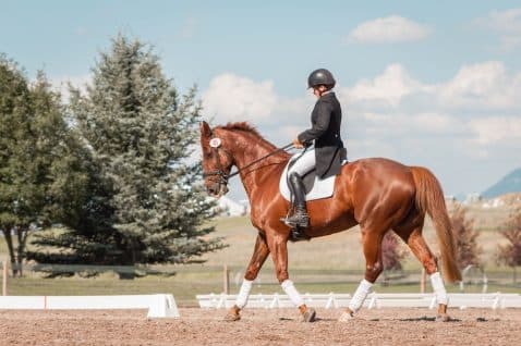 Thumbnail for Blog Article: Horse Trailer Financing: What You Need to Know
