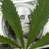 CBD Payment Processor HighRiskPay.com Explained Thumbnail