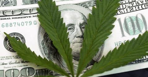 Thumbnail for Blog Article: CBD Payment Processor HighRiskPay.com Explained