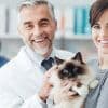 4 Pet Insurance Companies That Pay Your Vet Directly Thumbnail