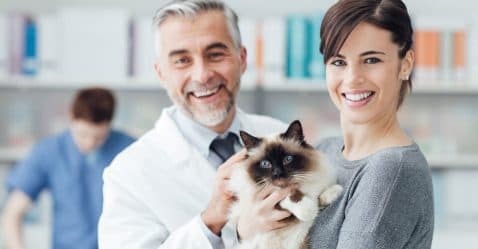 Thumbnail for Blog Article: 4 Pet Insurance Companies That Pay Your Vet Directly