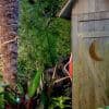 Buying a House with a Septic Tank: Tips, Tricks, & Red Flags to Watch Out For Thumbnail