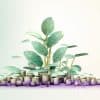 Thumbnail for Blog Article: CIT Bank's Savings Climb to 5.05% APY (July 2023)