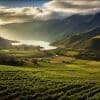 Thumbnail for Blog Article: Vineyard Financing: How To Get A Loan For A Winery (2026 Update)