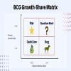 BCG Growth Share Matrix and How to Use It Thumbnail