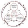 The Nordic Model: A Blueprint for Balanced Governance and Social Welfare Thumbnail