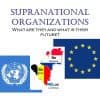 Supranational Organizations: Understanding the Impact and Challenges Thumbnail