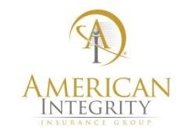 American Integrity Insurance of Florida Inc logo