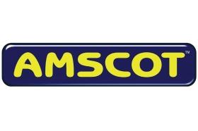 Amscot Cash Advance logo