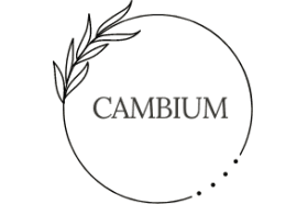 Cambium Associates, LLC logo