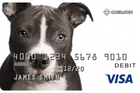 Pitbull Design CARD.com Prepaid Visa logo