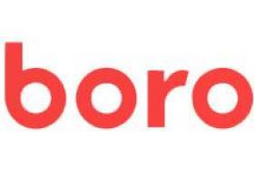 Boro Auto Loan logo