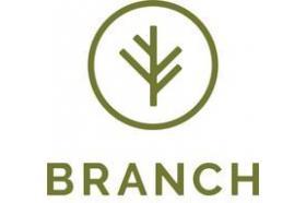 Branch Auto Insurance logo