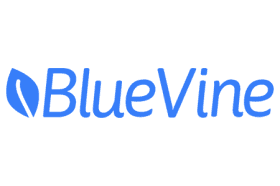 BlueVine Business Checking logo